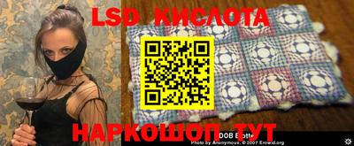 шишки Апшеронск