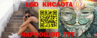 шишки Апшеронск