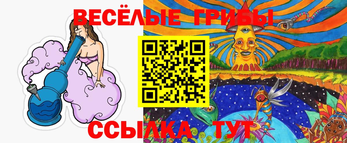 Псилоцибиновые грибы Cubensis Заринск