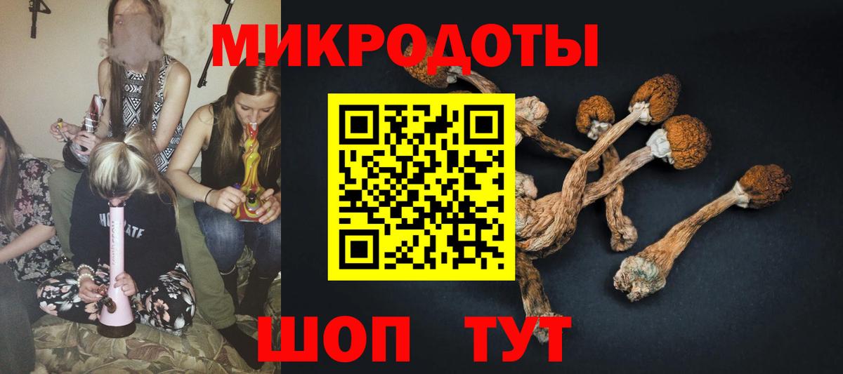 Галлюциногенные грибы MAGIC MUSHROOMS  Вход с VPN  Заринск 