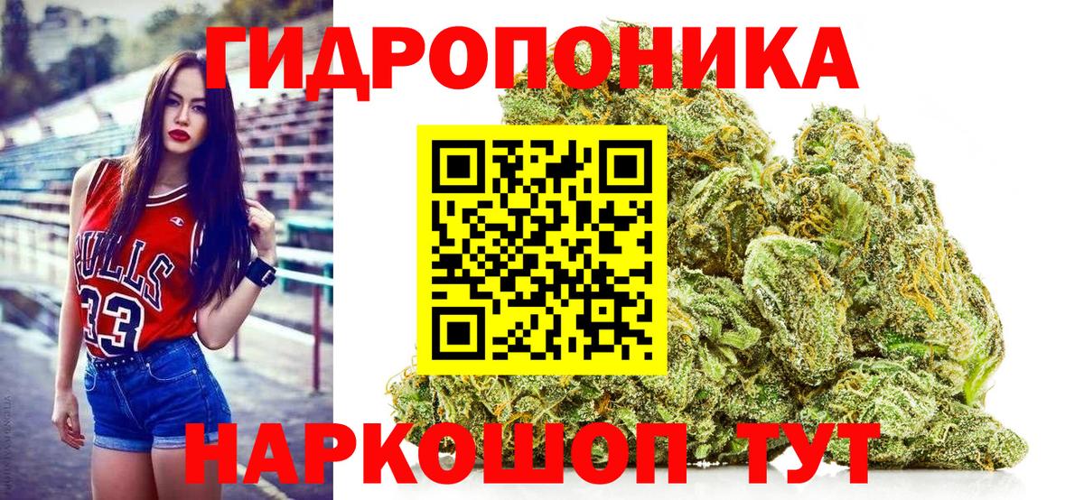 Марихуана семена  Каннабис сатива  Бошки марихуана OG Kush  Вход с VPN  Бошки Шишки индика  Заринск 